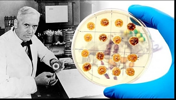 1928- se descubre la penicilina