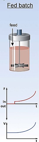Bioreactor de mesa y Fed-Batch
