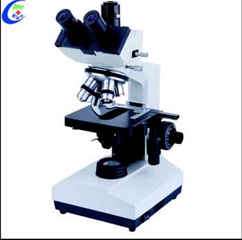 1933-  microscopio electico