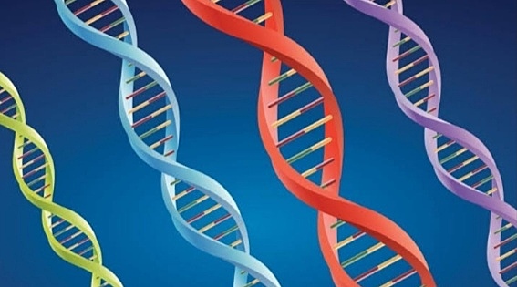 1970- desarrollo de la genética