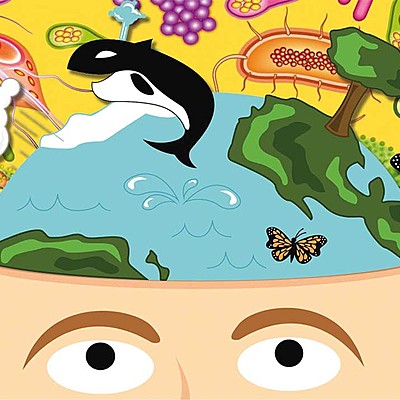 Timeline: Bases de la biología como ciencia