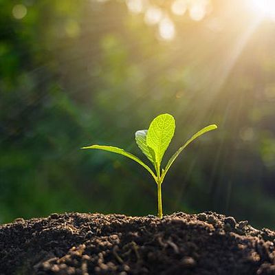 Timeline: Línea del tiempo de la Biología