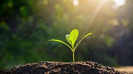 Timeline: Línea del tiempo de la Biología