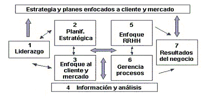 Modelo Malcolm Bladrige