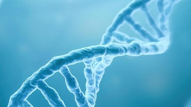 Descubrimiento de la estructura molecular del ADN.