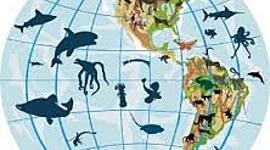 Timeline: HISTORIA DE LA BIOGEOGRAFIA