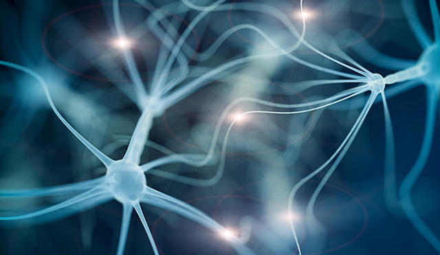 Descubrimiento de las hormonas.