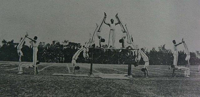 Materias en el plan cuadricular