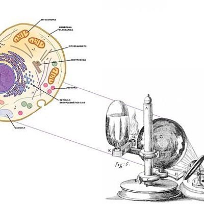 Timeline: Los cambios atmosféricos, evolución celular y teoría celular.