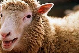 científicos del Instituto Roslin de Edimburgo, Ian Wilmut, Keith Campbell