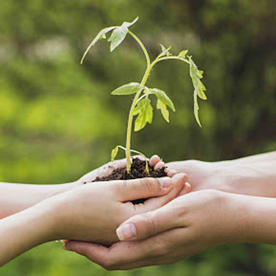 Timeline: DESARROLO SUSTENTABLE