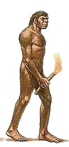 H.Sapiens nearnderthalensis