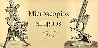 Microscópico optico