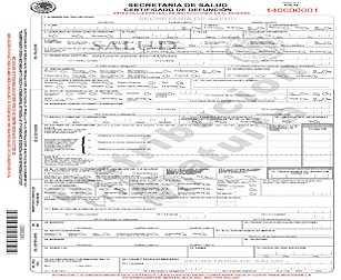 En México durante el siglo XIX