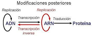 preserva del materia lgenetico