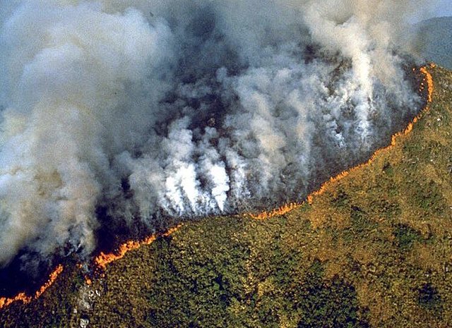 August 16, 2020:The Amazon set fire because deforestation had increased by 30 percent.