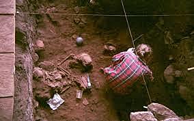 Revolución del estudio del ADN prehistórico