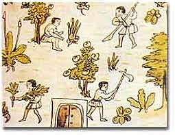 Etapa Crítica 1511- 1566