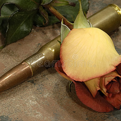 Timeline: Plan de trabajo para historia acústica