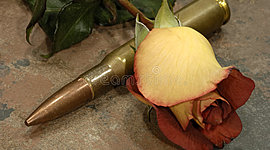 Timeline: Plan de trabajo para historia acústica