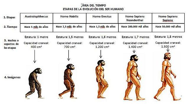 El origen del hombre