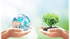 Timeline: Экологический календарь 2020г.