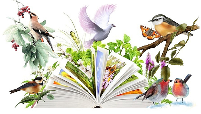 1 апреля, день птиц