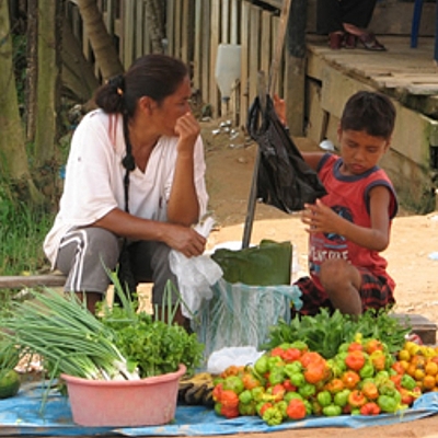 Timeline: Sin Hambre en Colombia