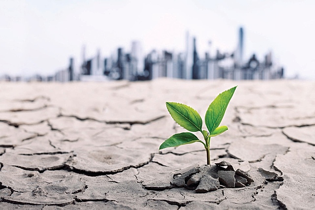 17 июня Всемирный день борьбы с опустыниванием и засухой