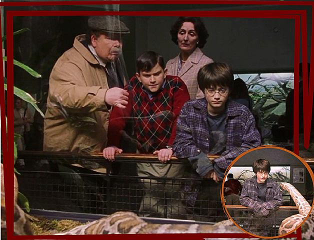 Descubrimiento de su magia