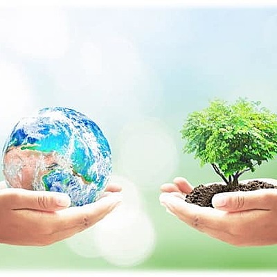 Timeline: Экологический календарь