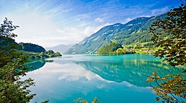 Timeline: Экологический календарь