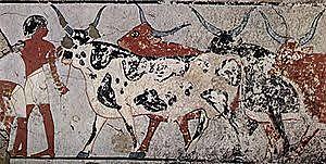 Début de la domestication des animaux