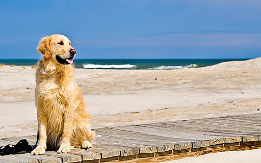 fine pimavera e inizio estate