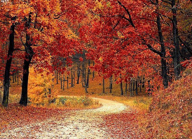 Fine estate inizio autunno