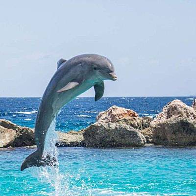 Timeline: 4 stagioni