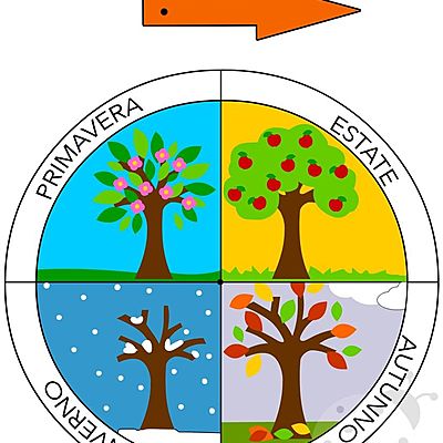 Timeline: Le stagioni