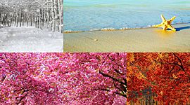 Timeline: Le 4 stagioni❤