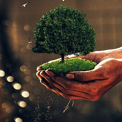 Timeline: Экологический Календарь 2020