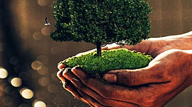 Timeline: Экологический Календарь 2020