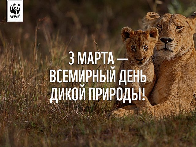 Всемирный день дикой природы
