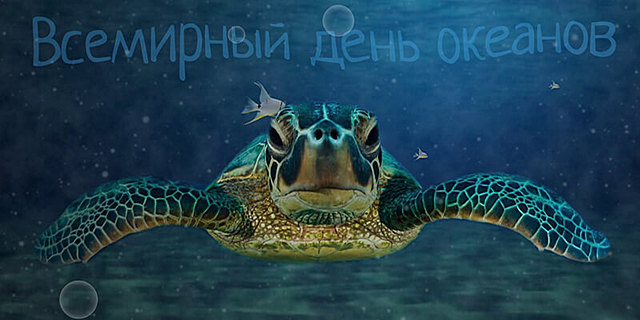 Всемирный день океанов