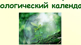 Timeline: Экологический календарь 2020г.