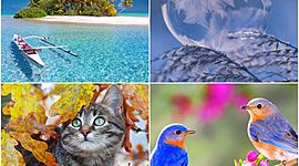 Timeline: Le 4 stagioni