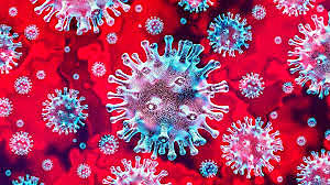 coronavirus