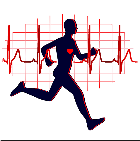 Les activités physiques