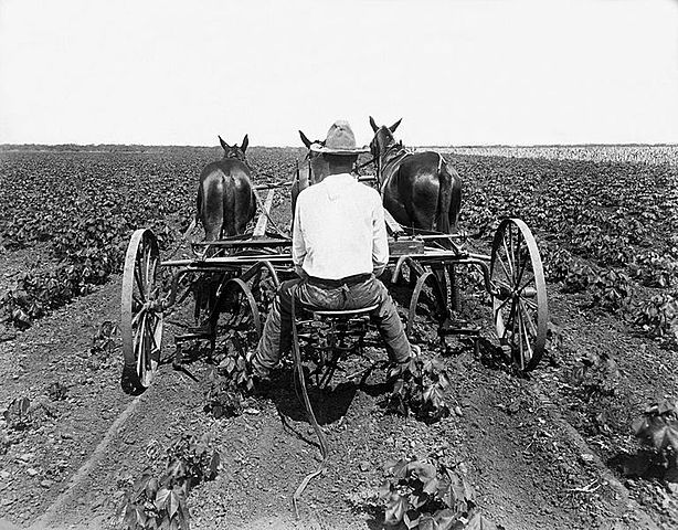 Europe is a farming economy