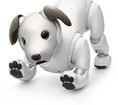 Aibo