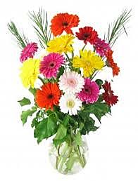 american federal arrangements