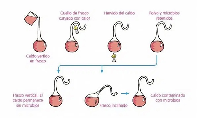 Experimento de Pasteur
